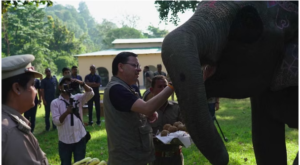 Screenshot 2023-10-13 154442