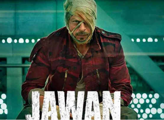 a jawan movie