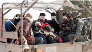 Screenshot 2023-11-22 101926