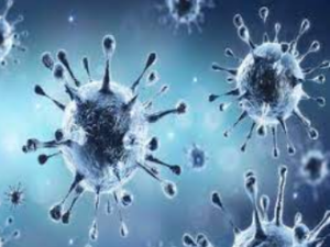 Screenshot-2023-12-28-154332