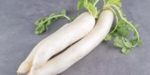 lifesstyle-1-660x330