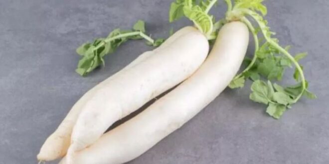 lifesstyle-1-660x330