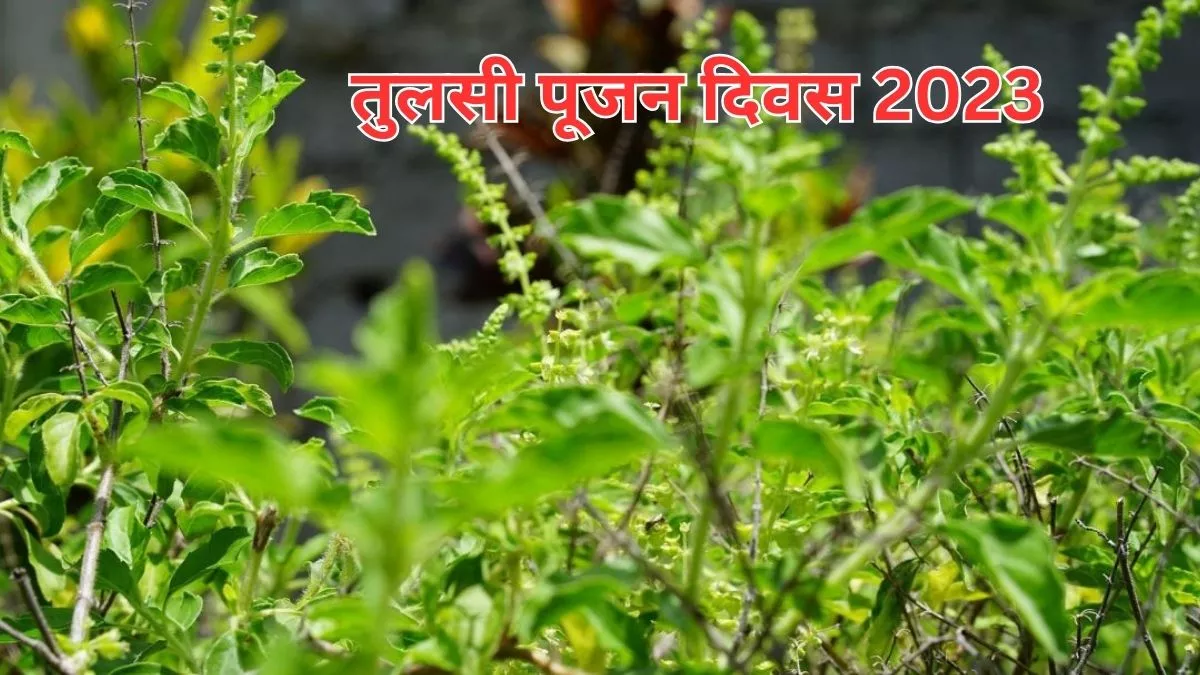 फल्ग्क्पद्फ्कग्प