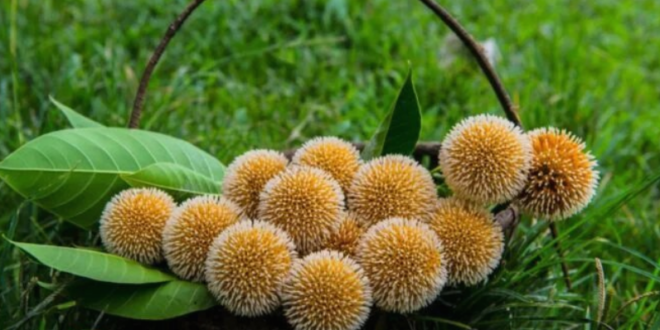 Screenshot-2024-01-02-101349-660x330