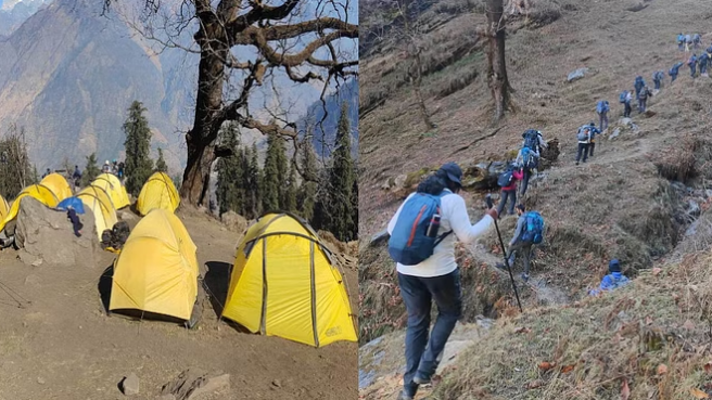 Screenshot-2024-01-11-121936-large (1)