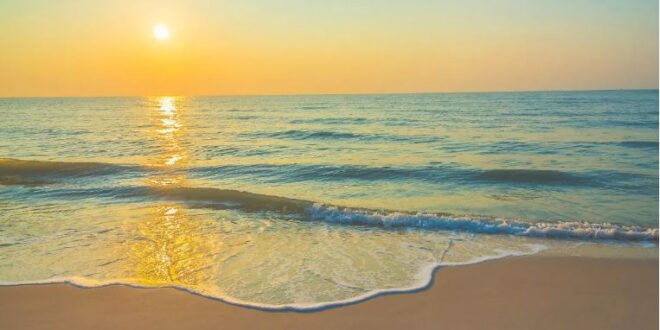 lifestyle-2-2-660x330