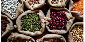 lifestyle-2-4-660x330