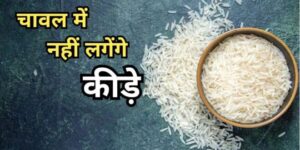 lifestyle-2-5-660x330