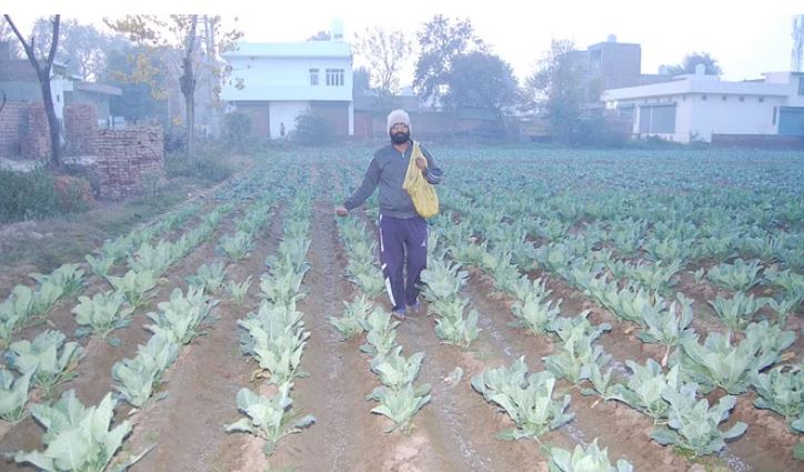 ज्ग्क्फज्ग्फज्ग्क