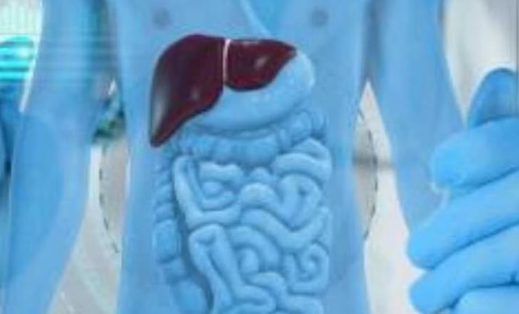 त्रत्र्ज्थी