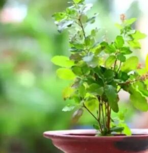 फ्द्झफ्ज्धफ्ज्द