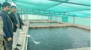 ल;कग;ल्फ्ग