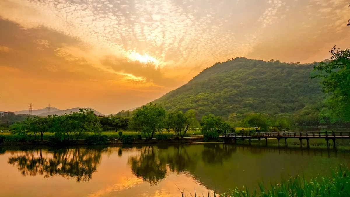 ल्फ्कग्जल्क्फ्द