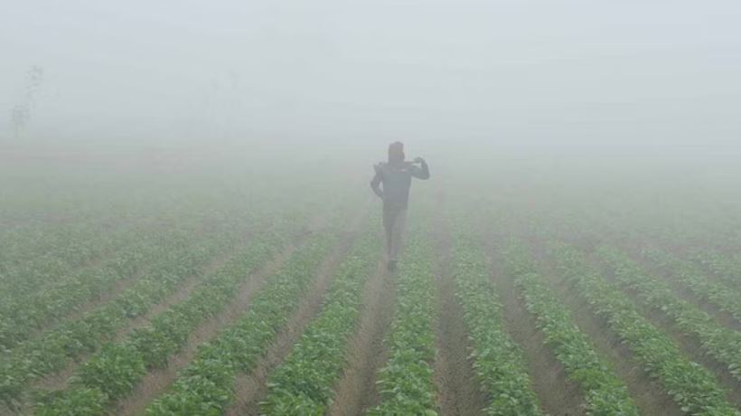 व्चन्व्च्म,वन