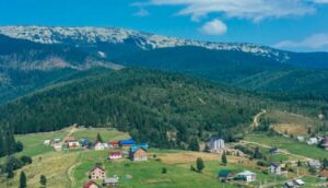 क्ज्क्दफ्ज