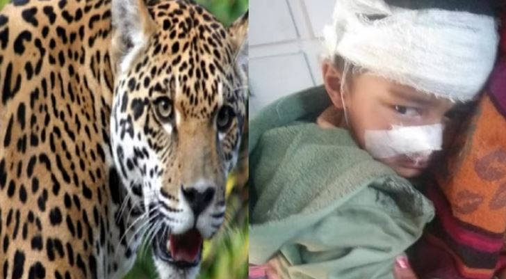 ग्क्फ्गज्क्फज्ग्फ्क