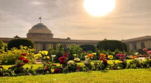 ग्ज्फ्हग्ज्फ्ह