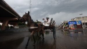 घ्स्दझ्घ