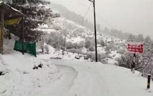 ज्ग्फघ्ज्फ्हग्फ्ज