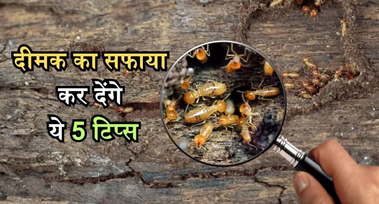 ज्ध्फज्ध