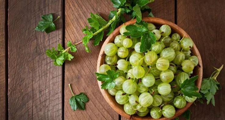 ज्फ्घ्फद्ज