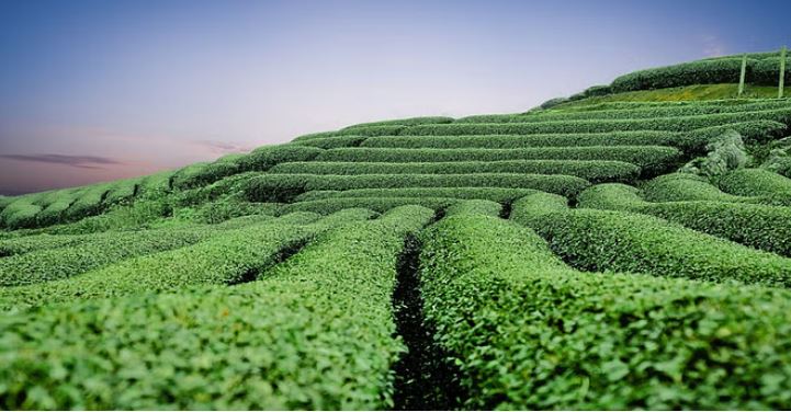 झ्द्फ्जक्ज