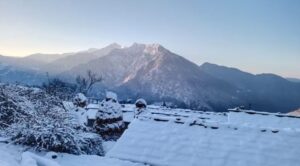 झ्फ्द्सझ