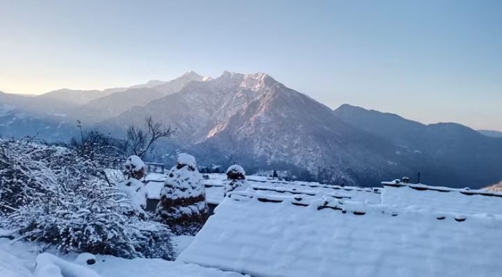 झ्फ्द्सझ