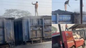 न्ग्द्म,