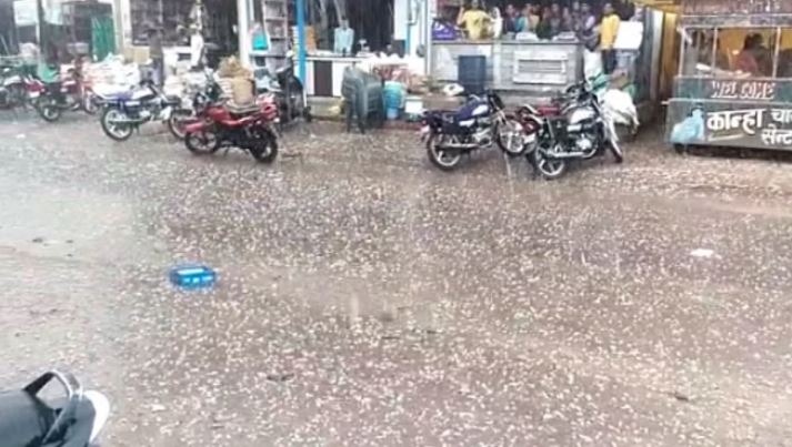 फ्द्जफ्क्द्जक्द्ज