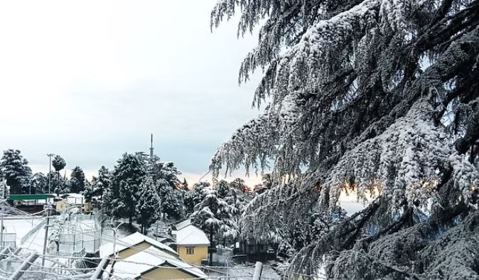 बर्फ़बारी