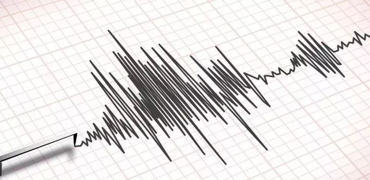 ह्ग्फ्हस्ग