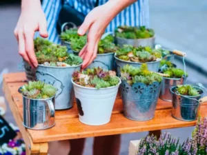 ह्द्घ्सग्ध्स