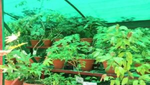 ह्फ्ज्धफ्ज्द