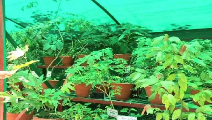 ह्फ्ज्धफ्ज्द