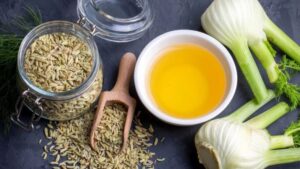 ज्द्फज्स