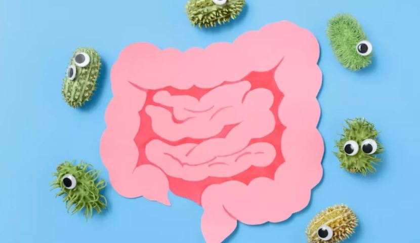 झद्ज्फ्ह