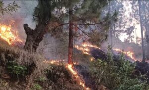 उत्तराखंड