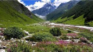 valley of flower