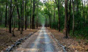 ग्रीन हेल्पलाइन