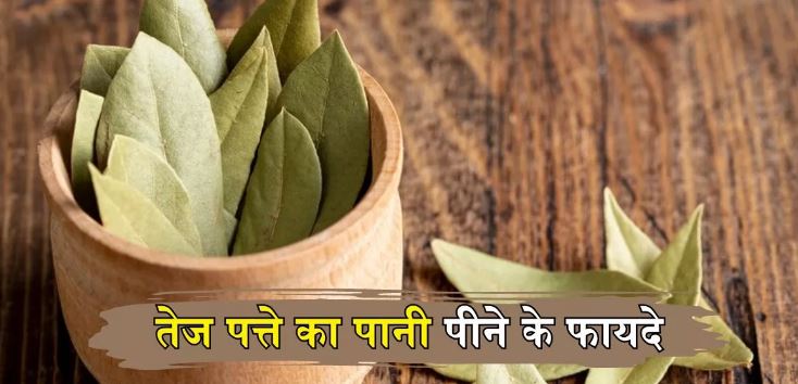 तेज पत्ता