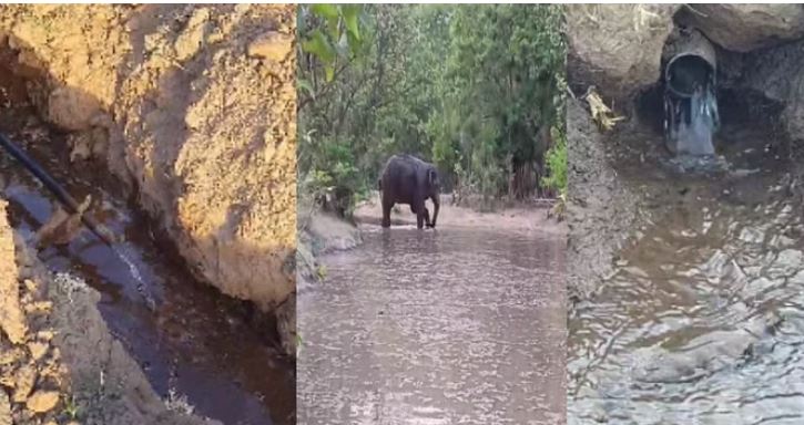 हरिद्वार