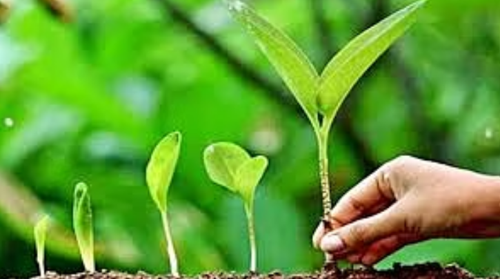 Screenshot 2024-06-23 103144