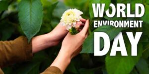 एन्विरोमेंट