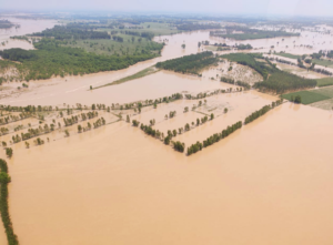 Screenshot 2024-07-10 112238