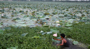 Screenshot 2024-07-10 113446