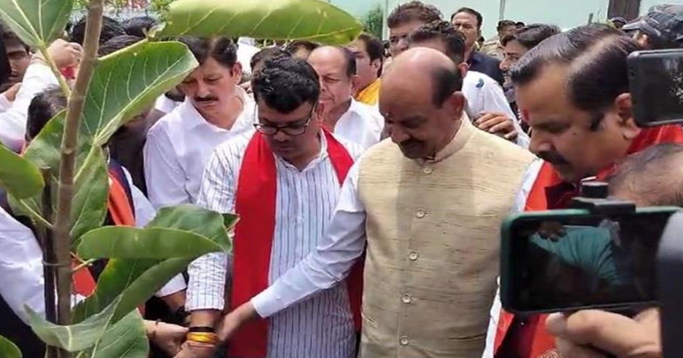 Screenshot 2024-07-10 122733