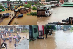 Screenshot 2024-07-11 104841