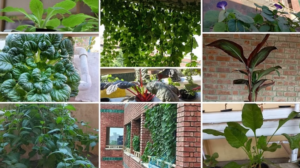 Screenshot 2024-07-11 114139