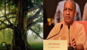 Screenshot 2024-07-12 113119